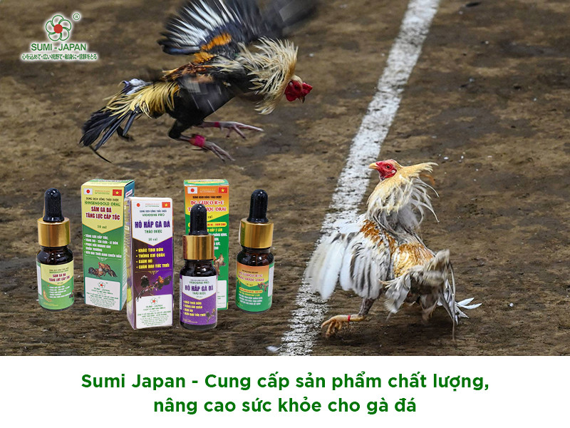 Trang Thiết Bị Cho Đá Gà: Giải Pháp Tối Ưu Cho Cuộc Thi image-1744660101050