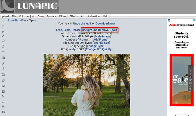 Discover The Power Of BG Trực Tuyến For Effortless Image Editing image-1748535724664
