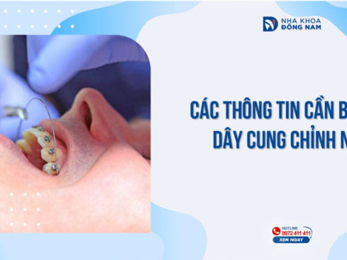 Chỉnh Nha - nhakhoadongnam.com: Giải Pháp Tối Ưu Cho Nụ Cười Tự Tin image-1748276619576