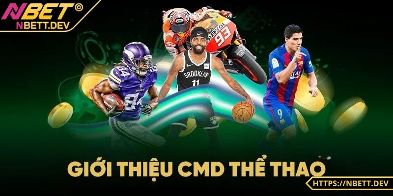 CMD Thể Thao: Sảnh Cá Cược Đẳng Cấp Dành Cho Người Yêu Thể Thao image-1748534777543