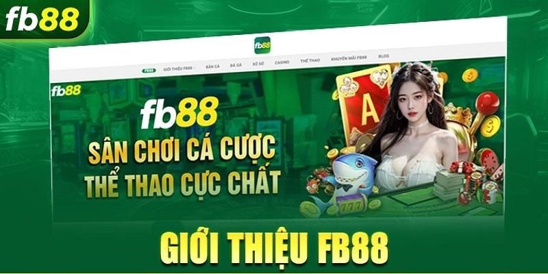 Đăng Nhập Fb88: Hướng Dẫn Truy Cập An Toàn Và Nhanh Chóng image-1748533831841