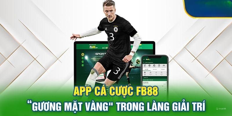 Tải App Fb88: Hướng Dẫn Cài Đặt An Toàn Trên Mọi Thiết Bị image-1748533905170