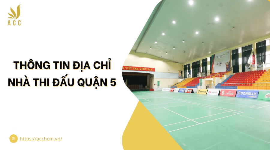 Thể Thao 5: Tất Cả Những Gì Bạn Cần Biết Về Xu Hướng Mới image-1748536914907