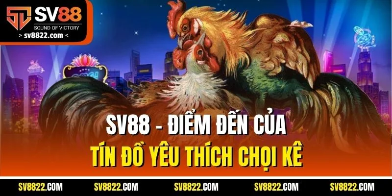 WS168 Đá Gà: Trải Nghiệm Cược Gà Đỉnh Cao Tại Sảnh Chơi Uy Tín image-1748537314626