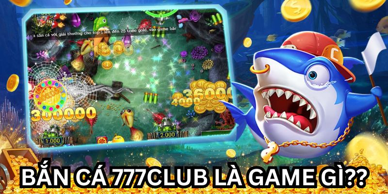 Bắn Cá Bingo 777 Club: Trải Nghiệm Game Săn Cá Đầy Thú Vị image-1749733531210