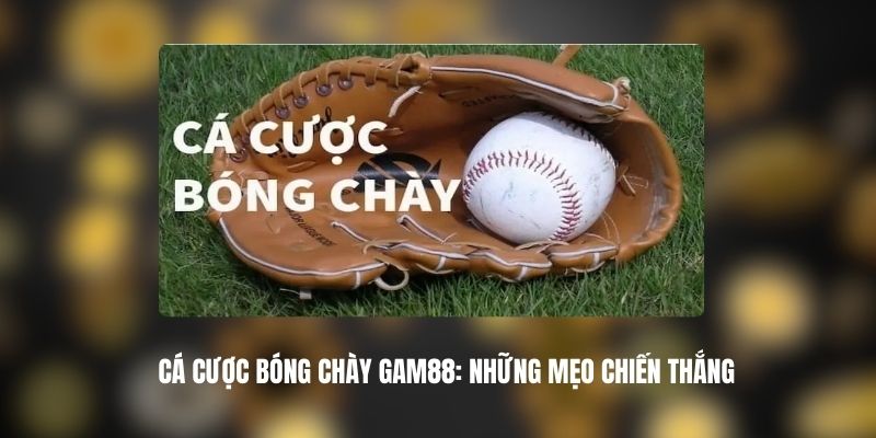 Cá Cược Bóng Chày Là Gì? Hướng Dẫn Chi Tiết Cho Người Mới image-1749732908340
