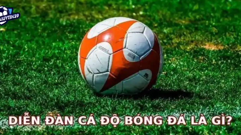 Diễn Đàn Bóng Đá: Nơi Hội Tụ Của Những Tín Đồ Bóng Tròn image-1749473500614