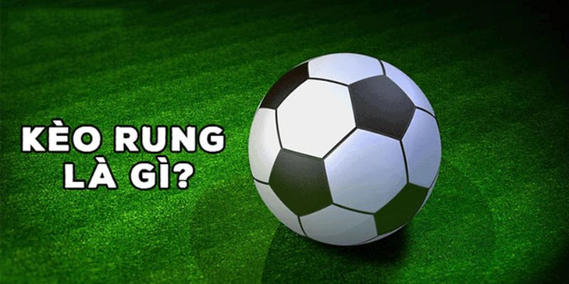 Kèo Rung Là Gì? Cách Hiểu Và Chơi Hiệu Quả Nhất Dành Cho Người Mới image-1749473988254