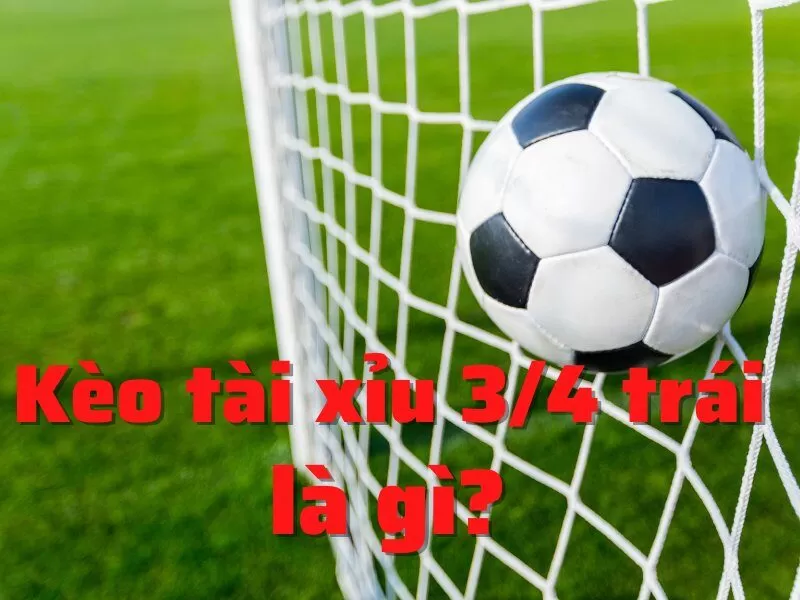 Kèo Tài Xỉu 0.75 Là Gì? Cách Chơi Và Mẹo Thắng Dễ Hiểu Nhất image-1749475749940