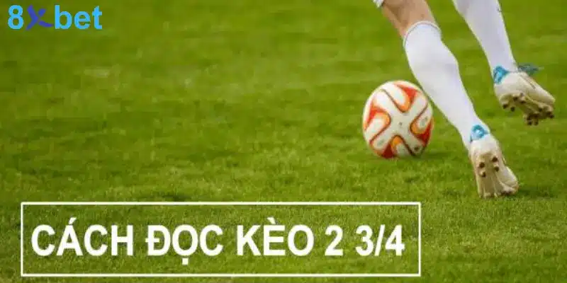 Kèo Tài Xỉu 0.75 Là Gì? Cách Chơi Và Mẹo Thắng Dễ Hiểu Nhất image-1749475753446