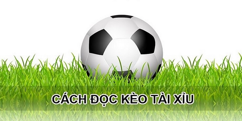Kèo Tài Xỉu 3 Trái: Cách Hiểu, Cách Chơi Và Chiến Lược Thắng Lớn image-1749475084285