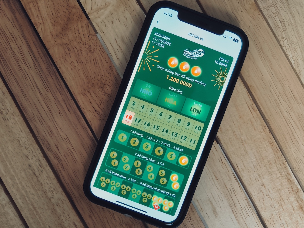 Kết Quả Bingo 18: Cập Nhật Mới Nhất Và Cách Tra Cứu Chính Xác image-1749733560654