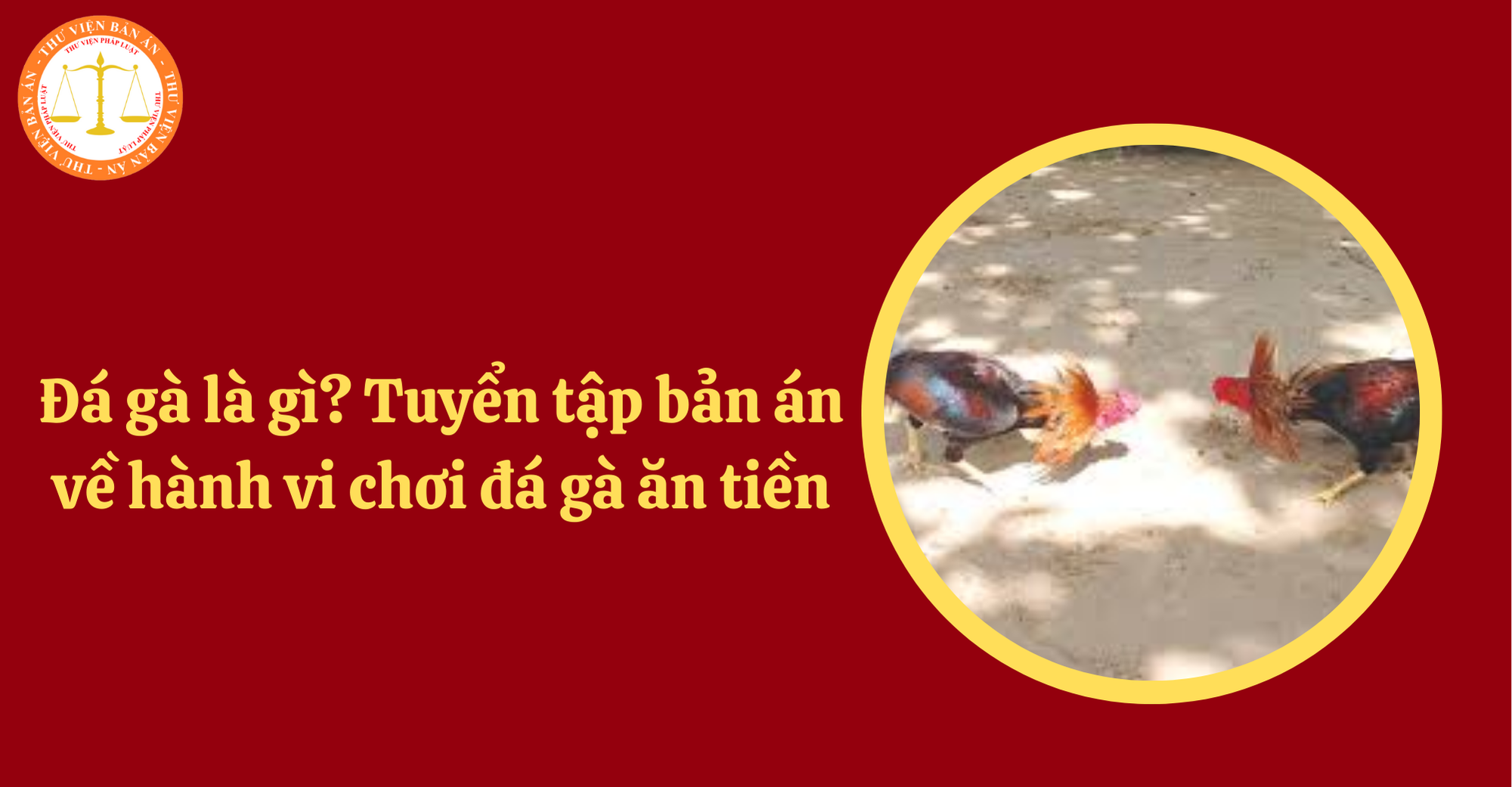 Luật Đá Gà: Những Quy Định Quan Trọng Cần Biết image-1749473061291