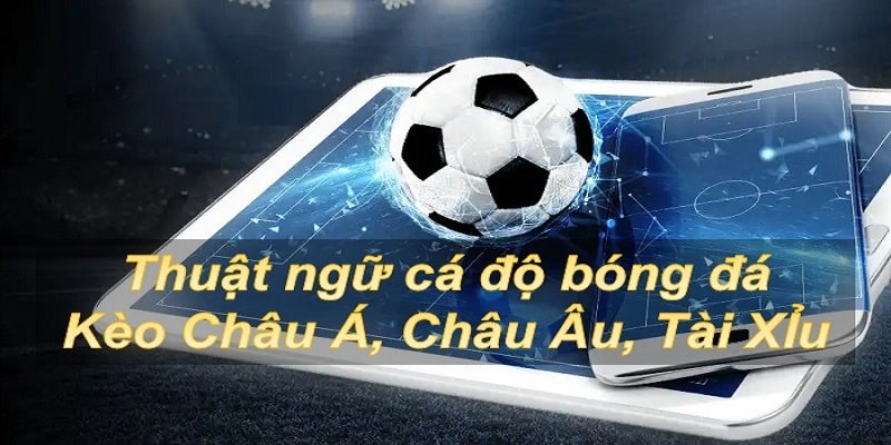 Thuật Ngữ Cá Độ Bóng Đá: Giải Thích Từ Cơ Bản Đến Chuyên Sâu image-1749473028966