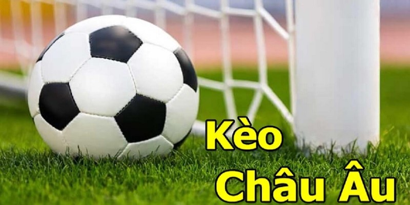 Thuật Ngữ Cá Độ Bóng Đá: Giải Thích Từ Cơ Bản Đến Chuyên Sâu image-1749473029865