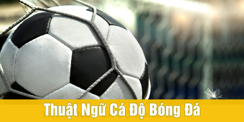 Thuật Ngữ Cá Độ Bóng Đá: Giải Thích Từ Cơ Bản Đến Chuyên Sâu image-1749473030650