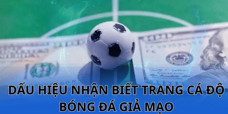 Trang Cá Độ Bóng Đá Uy Tín Nhất Việt Nam: Cách Chọn Và Trải Nghiệm An Toàn image-1749471910946