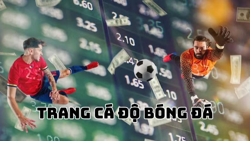 Trang Cá Độ Bóng Đá Uy Tín Nhất Việt Nam: Cách Chọn Và Trải Nghiệm An Toàn image-1749471911677
