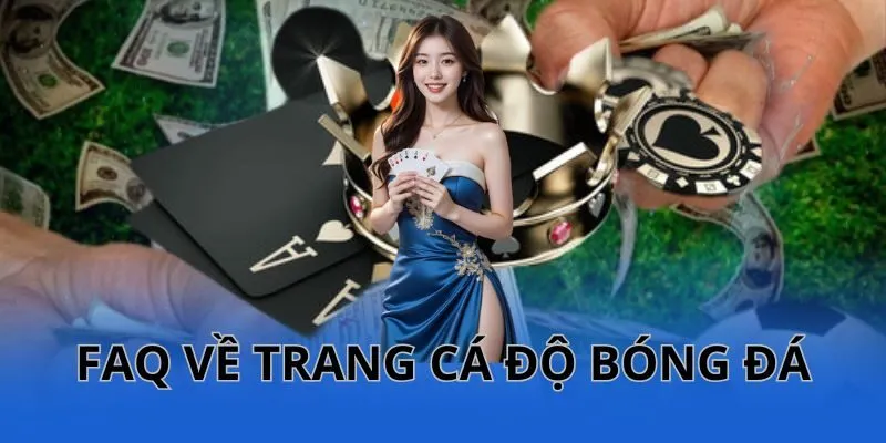 Trang Cá Độ Bóng Đá Uy Tín Nhất Việt Nam: Cẩm Nang Cho Người Mới image-1749472449488