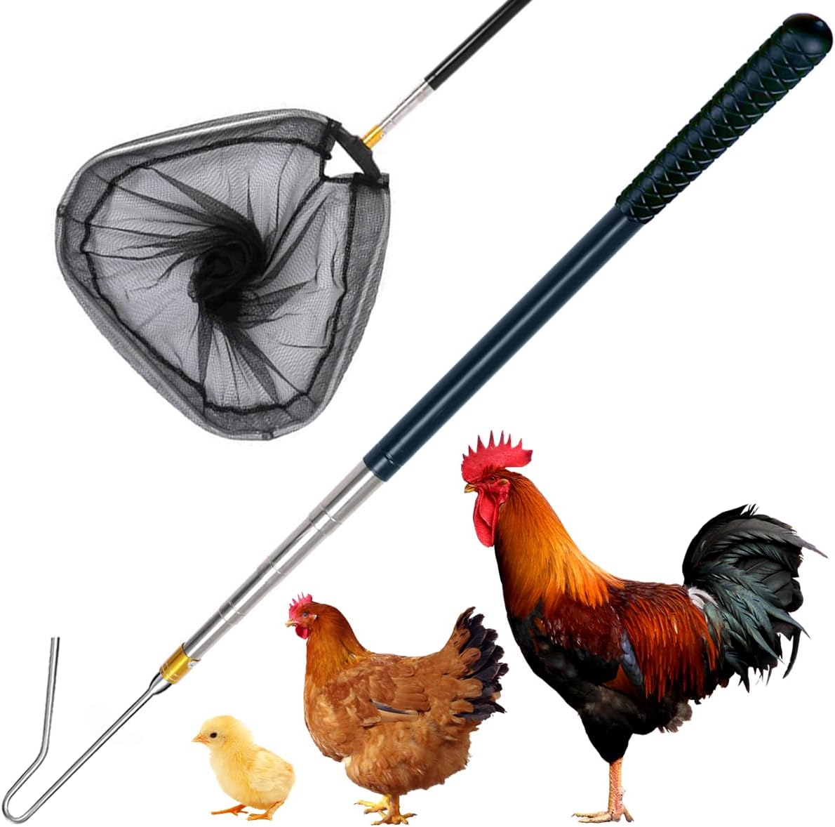 Trang Thiết Bị Cho Đá Gà: Tất Cả Những Gì Bạn Cần Biết image-1749473255382
