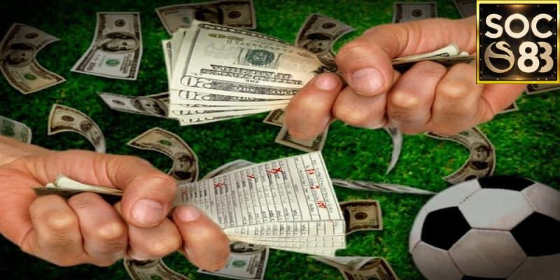 Vì Sao Cá Độ Bóng Đá Luôn Thua? Giải Mã Những Nguyên Nhân Thường Gặp image-1749472960353