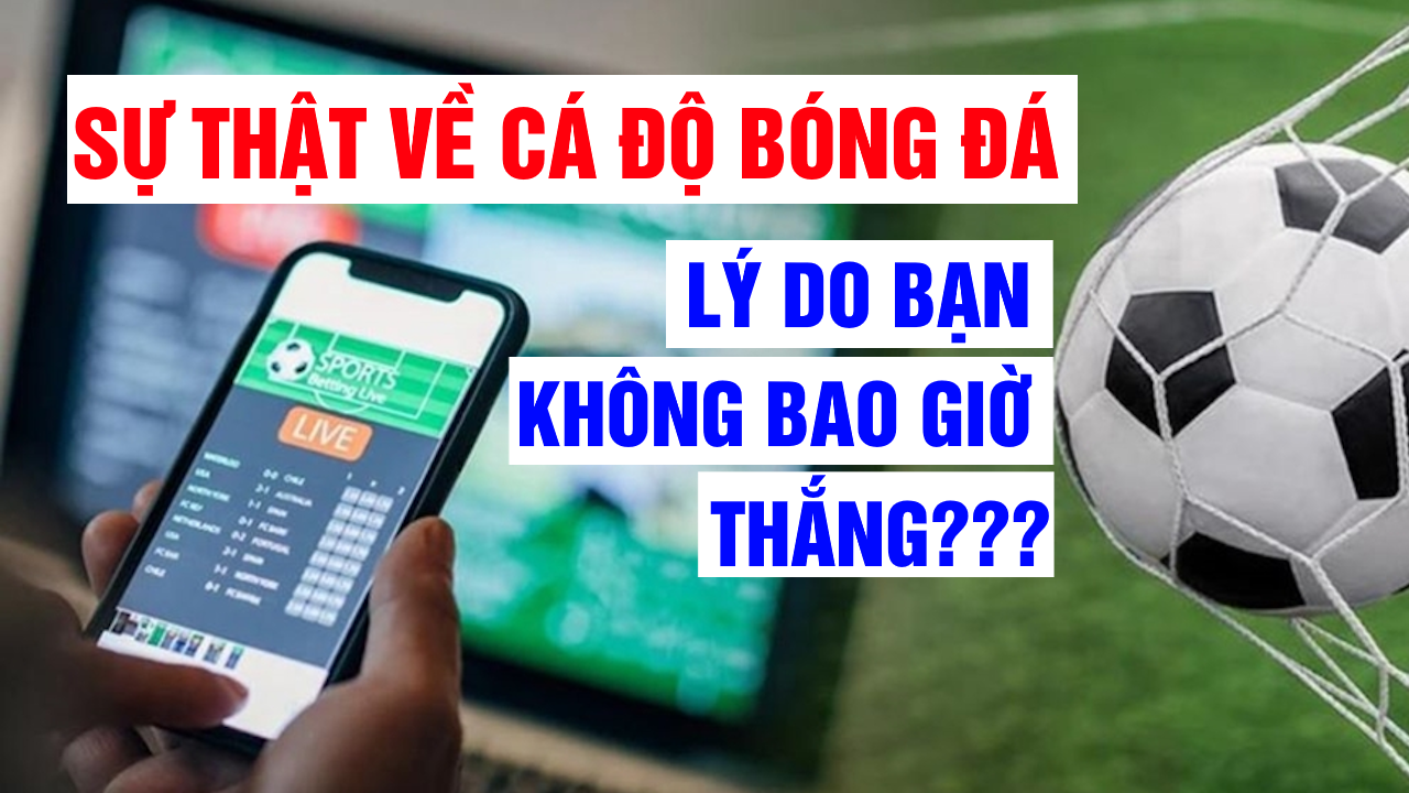 Vì Sao Cá Độ Bóng Đá Luôn Thua? Giải Mã Những Nguyên Nhân Thường Gặp image-1749472961238
