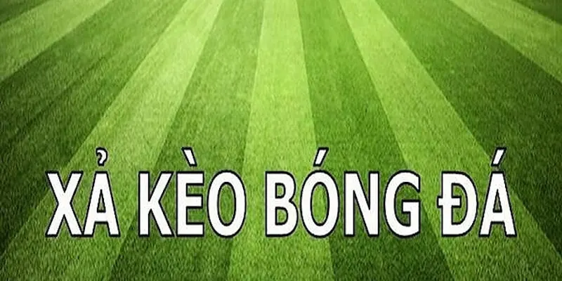 Xả Kèo Là Gì? Cách Hiểu Đúng Và Áp Dụng Hiệu Quả Trong Cá Cược image-1749475264174