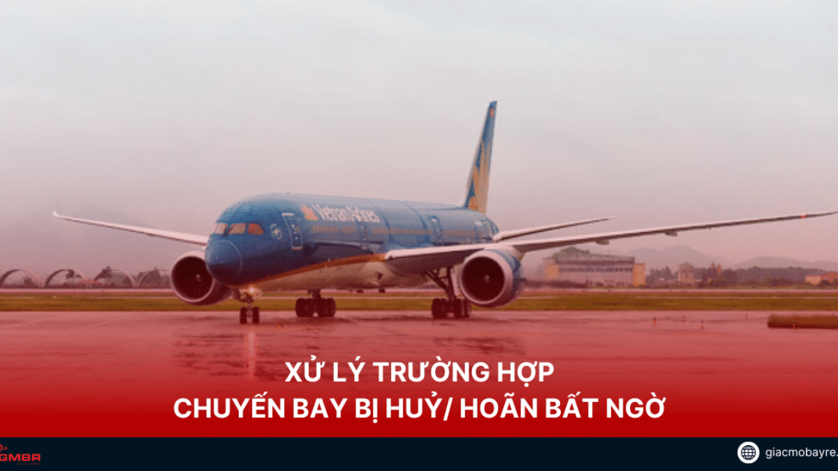 Bị Hủy Chuyến Bay Thì Hãng Có Đền Không? TimChuyenBay.com Chia Sẻ image-1753113042879