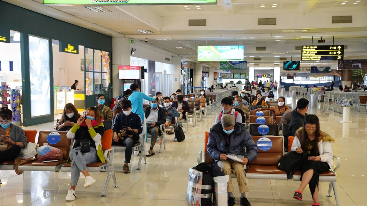 Bị Hủy Chuyến Bay Thì Hãng Có Đền Không? TimChuyenBay.com Chia Sẻ image-1753113053808
