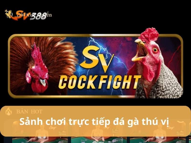 Cá Cược Đá Gà: Tìm Hiểu Chi Tiết Về Hình Thức Giải Trí Đầy Kịch Tính image-1753117013807