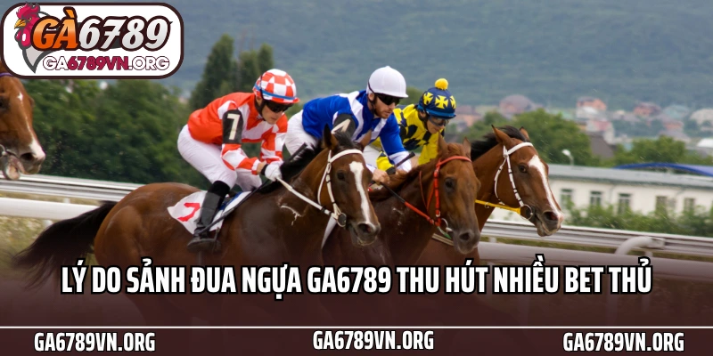 Cá Cược Đua Ngựa: Hướng Dẫn Từ A Đến Z Cho Người Mới image-1753112958211