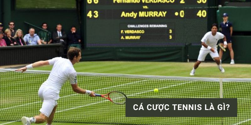 Cá Cược Tennis: Hướng Dẫn Chi Tiết Cho Người Mới Bắt Đầu image-1753112718323