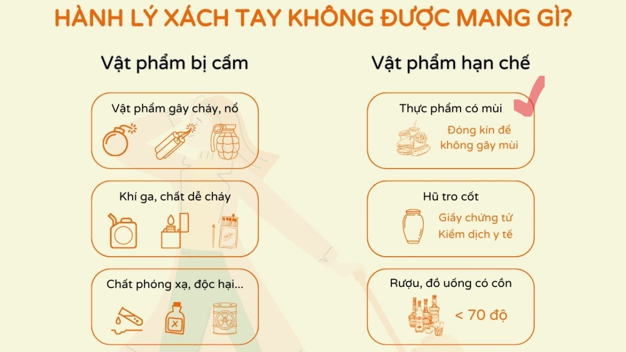 Có Thể Mang Trái Cây, Hải Sản Lên Máy Bay Không? Vé Máy Bay Vietjet Net Chia Sẻ image-1753113333831