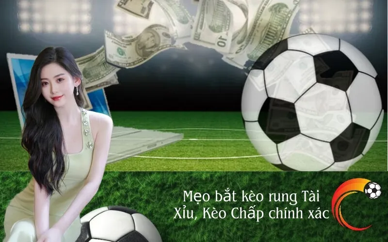 Kèo Rung Là Gì? Hướng Dẫn Toàn Tập Về Cá Cược Khi Bóng Đang Lăn image-1753113724467