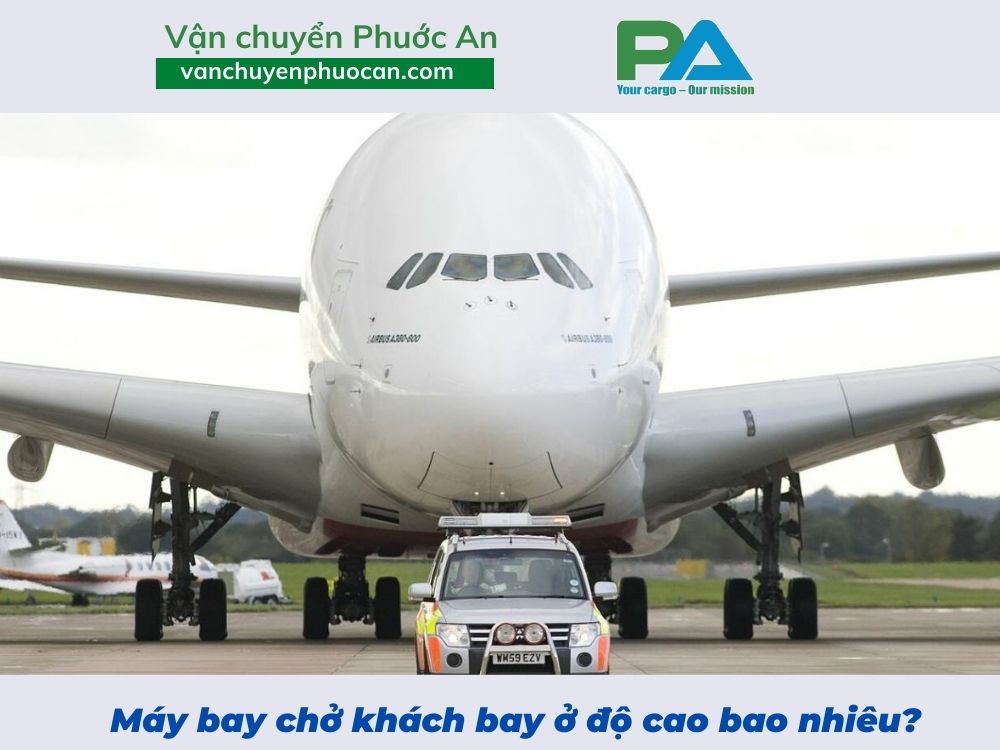Máy Bay Bay Cao Bao Nhiêu? TimChuyenBay.com Chia Sẻ image-1753113442044