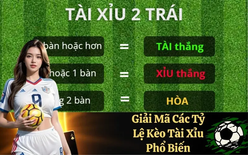 Tài 2.5 Là Gì? Hướng Dẫn Toàn Diện Cho Người Mới Chơi Kèo Tài Xỉu image-1753115899570